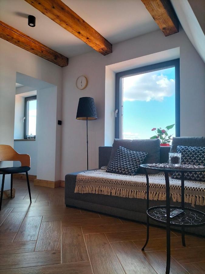 Uroczy Apartament W Centrum Krakowa エクステリア 写真
