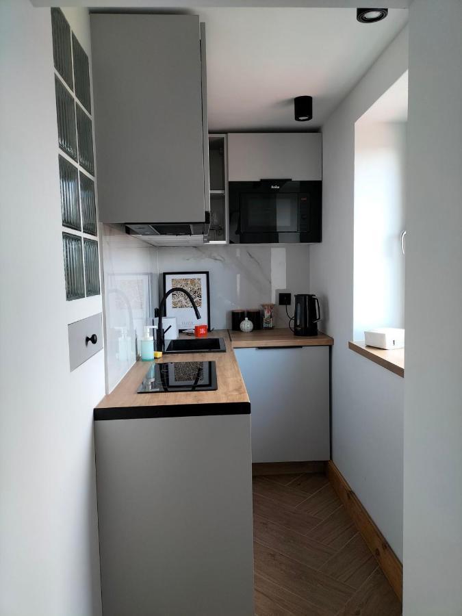 Uroczy Apartament W Centrum Krakowa エクステリア 写真